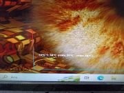 PALİT NVIDIA 9800GT GF9800GT 1024M DDR3 256B EKRAN KARTI