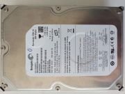 Arızalı Harddisk 250GB Seagate ST3250820AS 100436210 C
