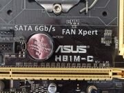 ASUS H81M-C Intel H81 Soket 1150 DDR3 1600MHz Anakart