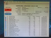 Arızalı Harddisk 250GB Samsung HM250JI MANGO REV.03 BF41-00157A
