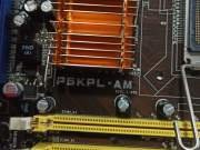ASUS P5KPL-AM EPU iG31 2D2 VGA+PCIEX16 4S 1600(OC)